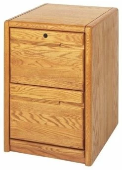 Coupon 🛒 Bowery Hill 2 Drawer File Cabinet In Medium Oak ✔️